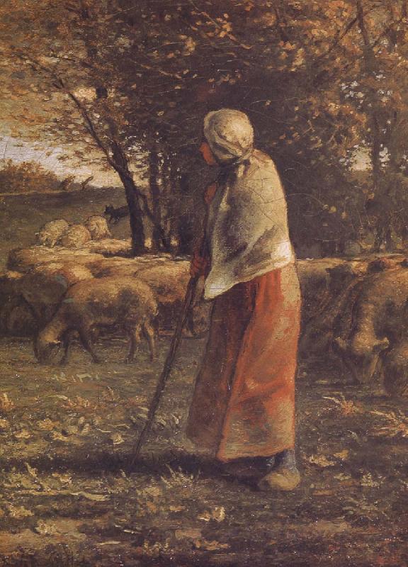  Shepherdess